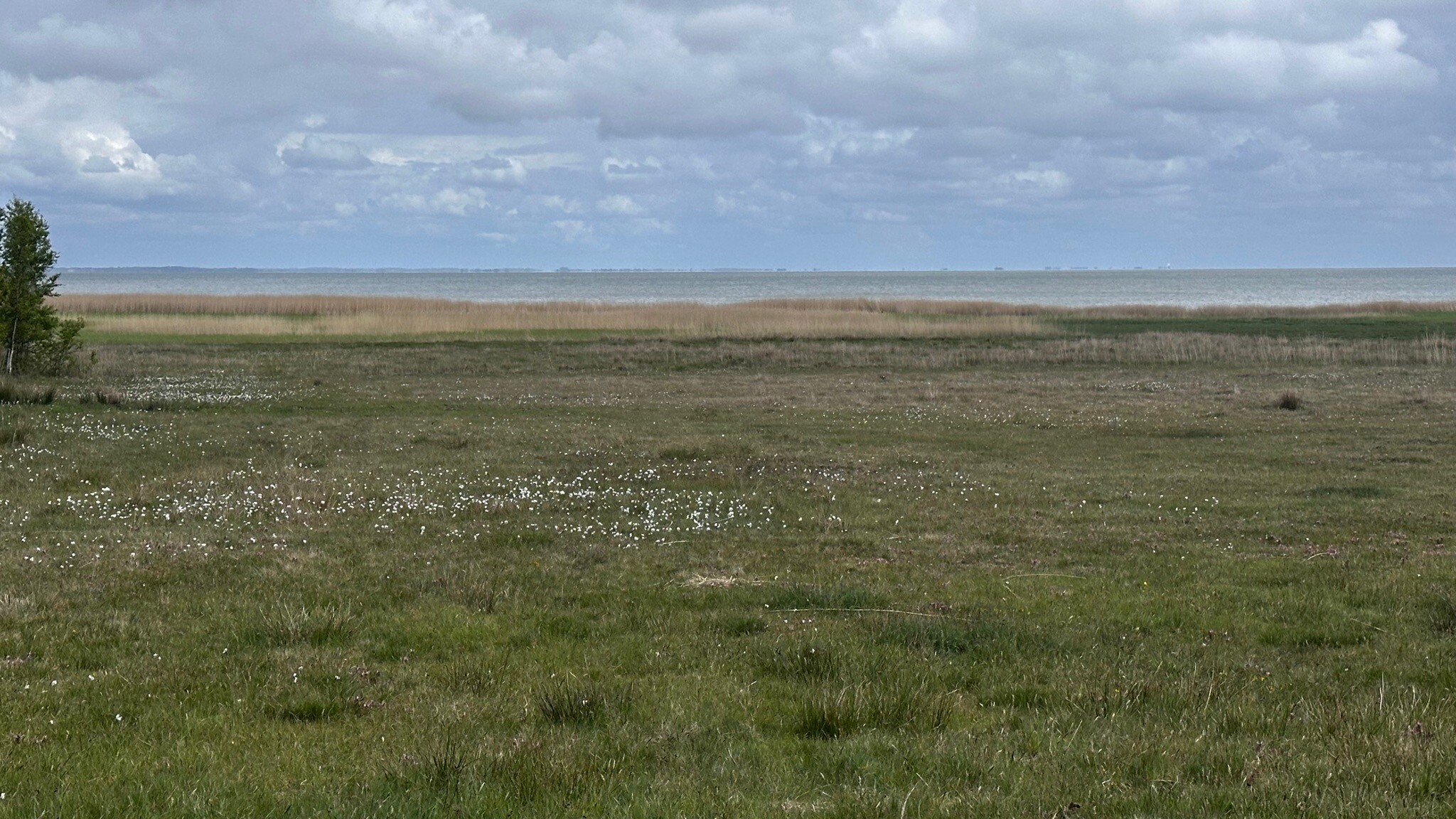 Sønderho