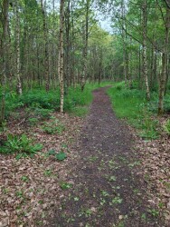 Wandelroute Veentjesroute