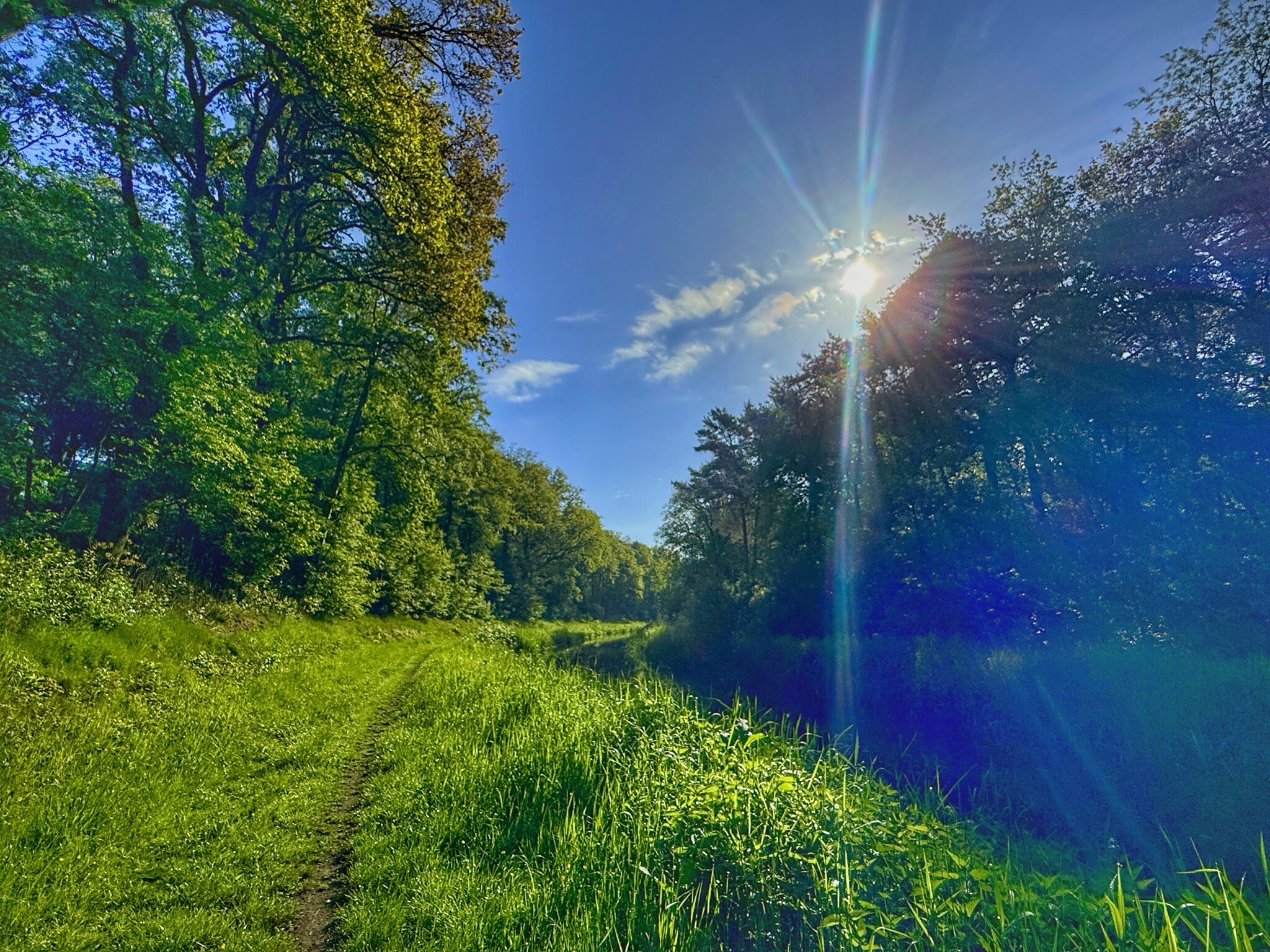 Buurse - Groen
