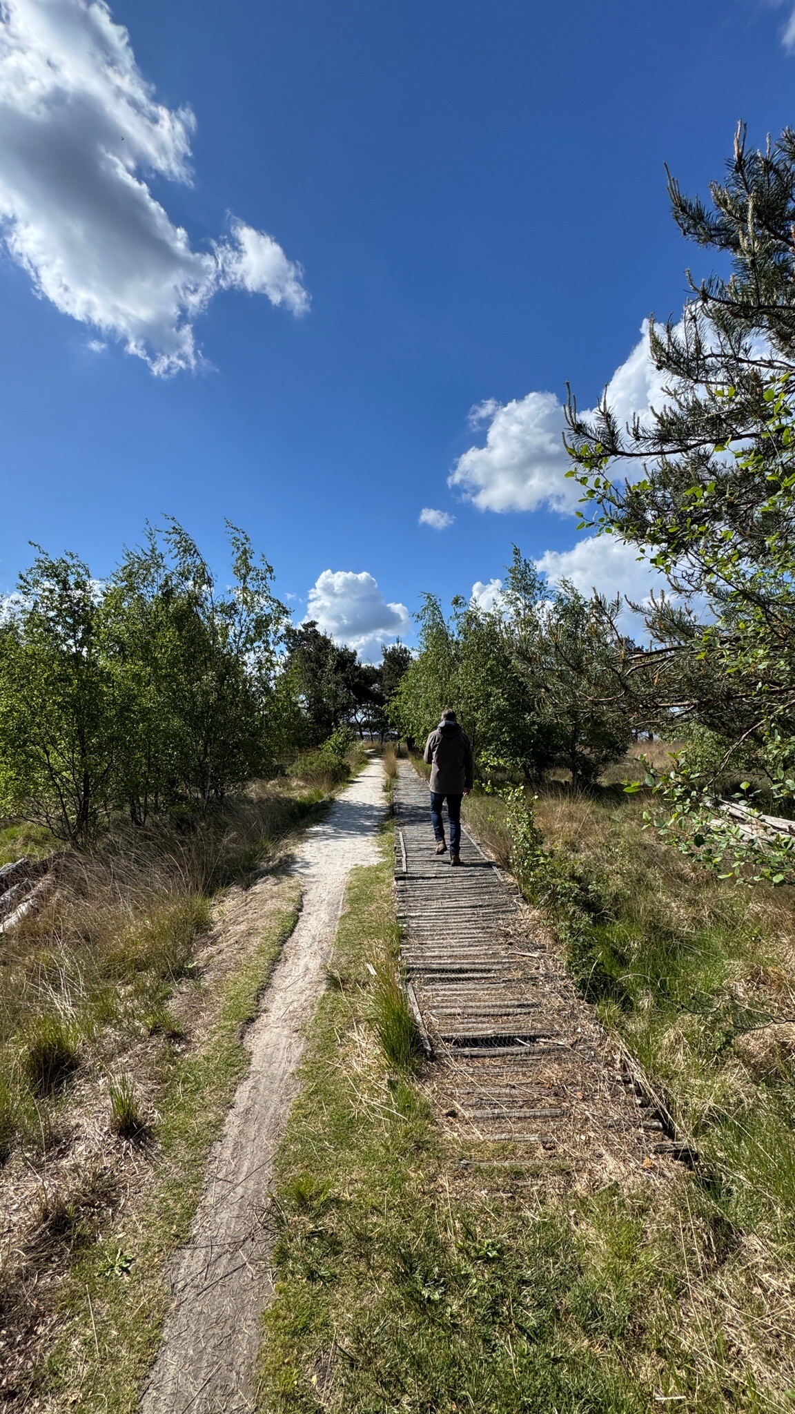 Strabrechtse Heide
