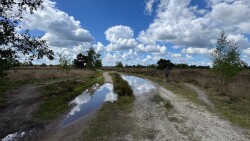 Strabrechtse Heide