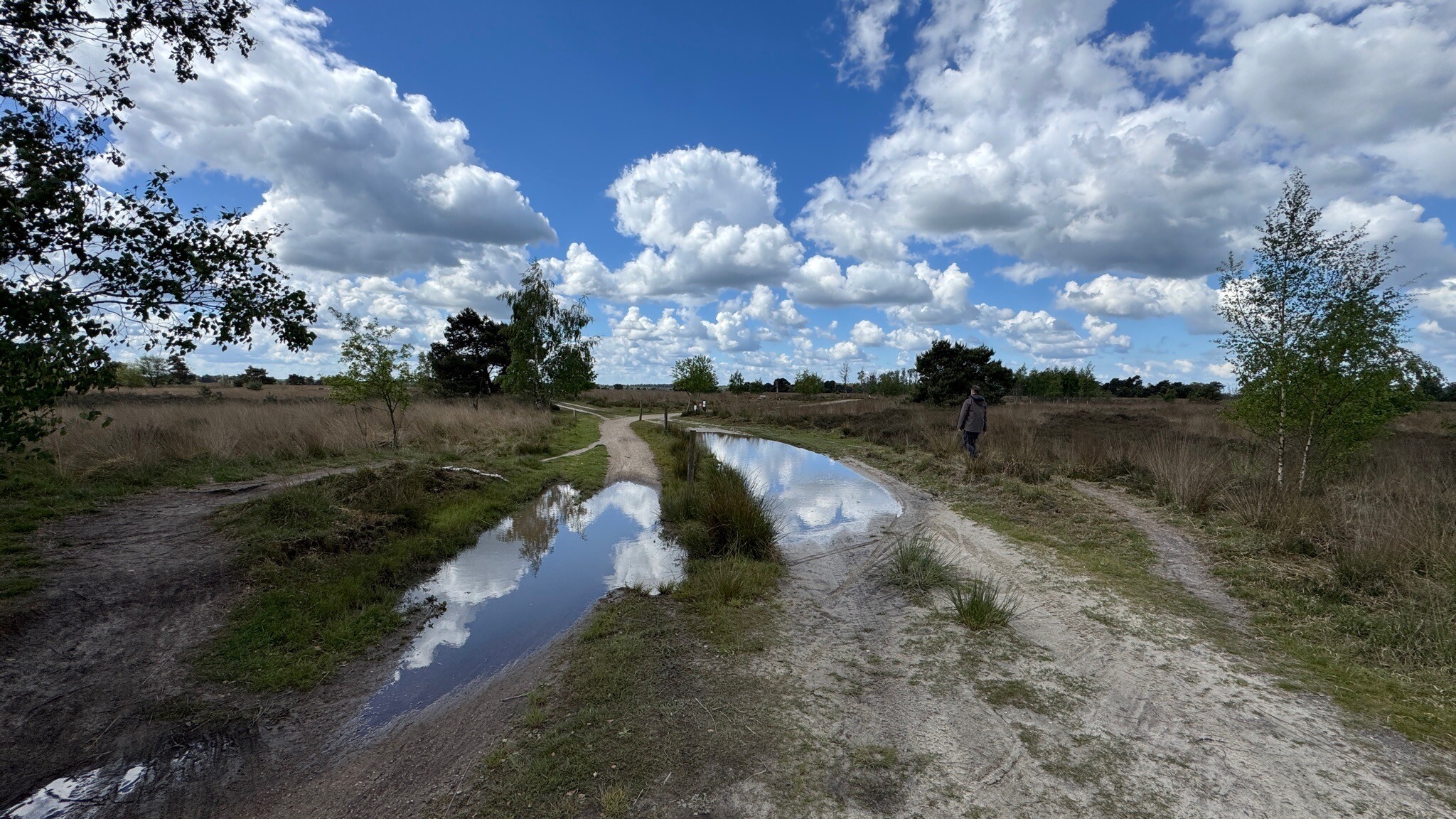 Strabrechtse Heide