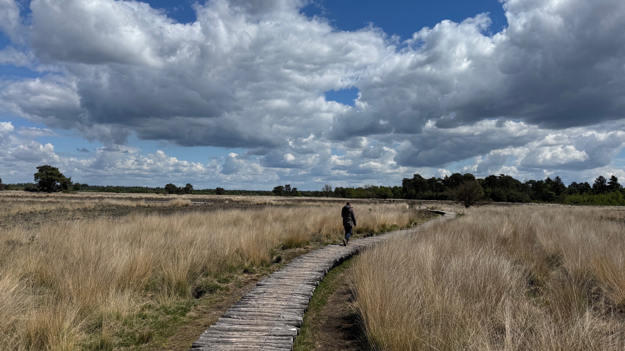 Strabrechtse Heide