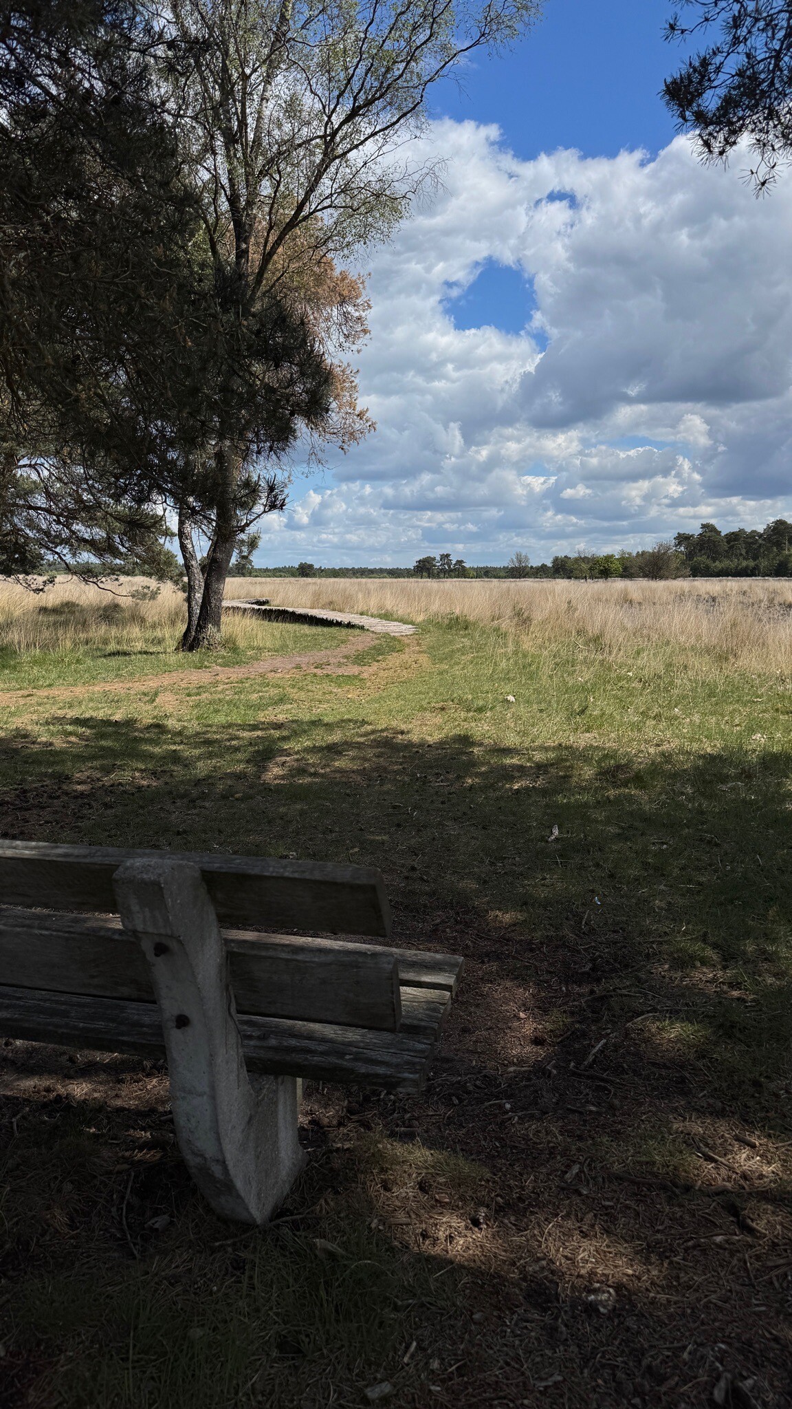 Strabrechtse Heide