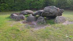 DW4D Dag 2 - 20km - 2026