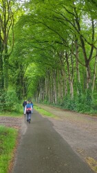 DW4D Dag 1 - 20km - 2026