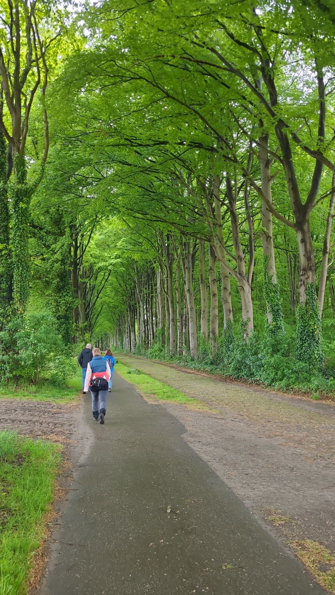 DW4D Dag 1 - 20km - 2026