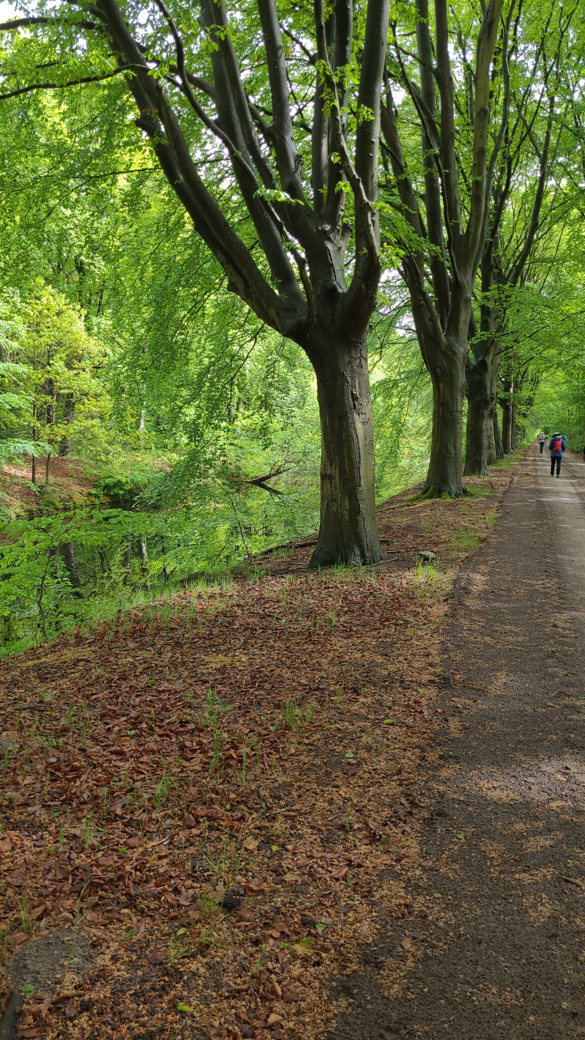DW4D Dag 1 - 20km - 2026