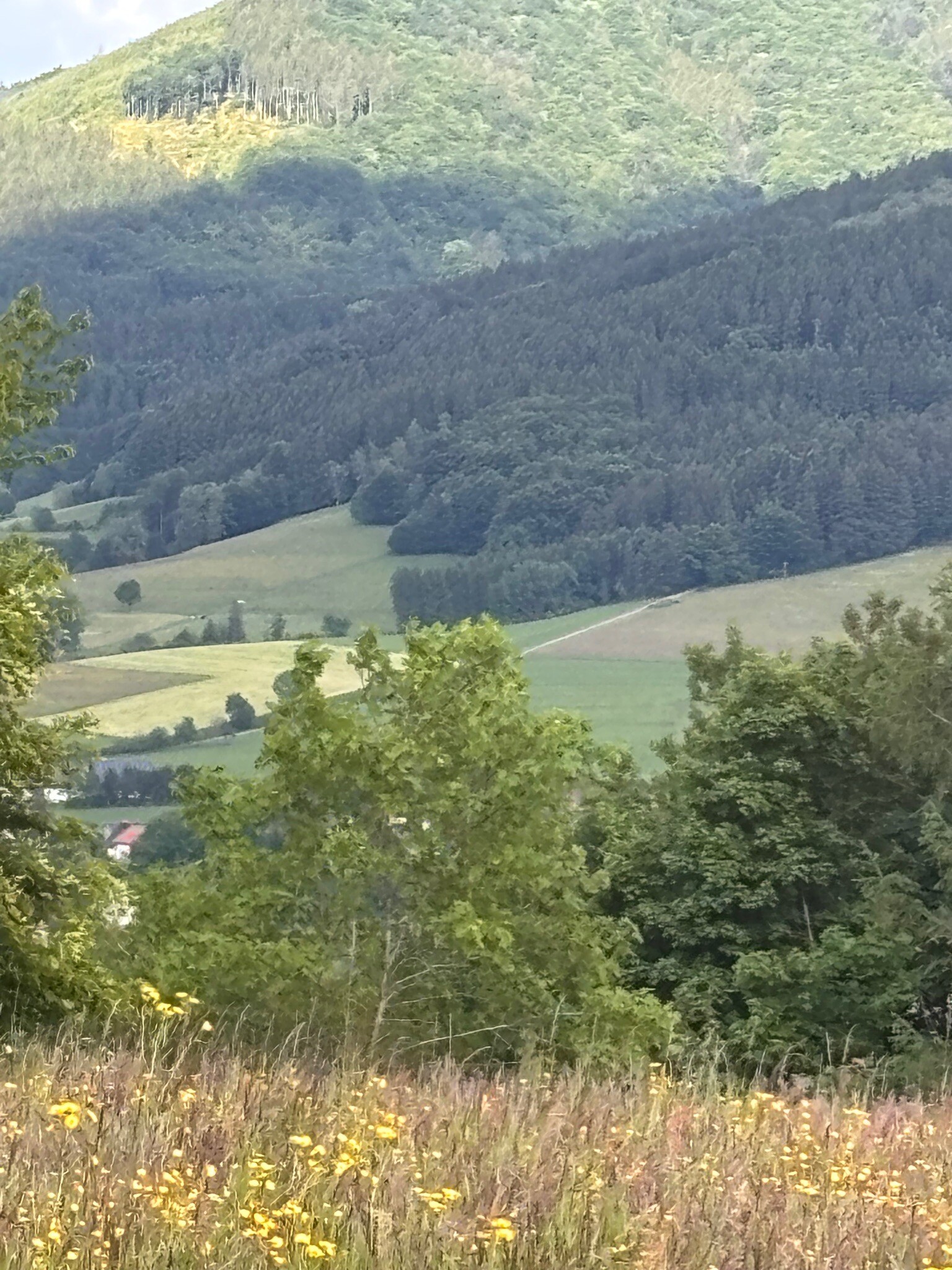 Rundweg Goldener Kopf