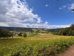 Rundweg Goldener Kopf
