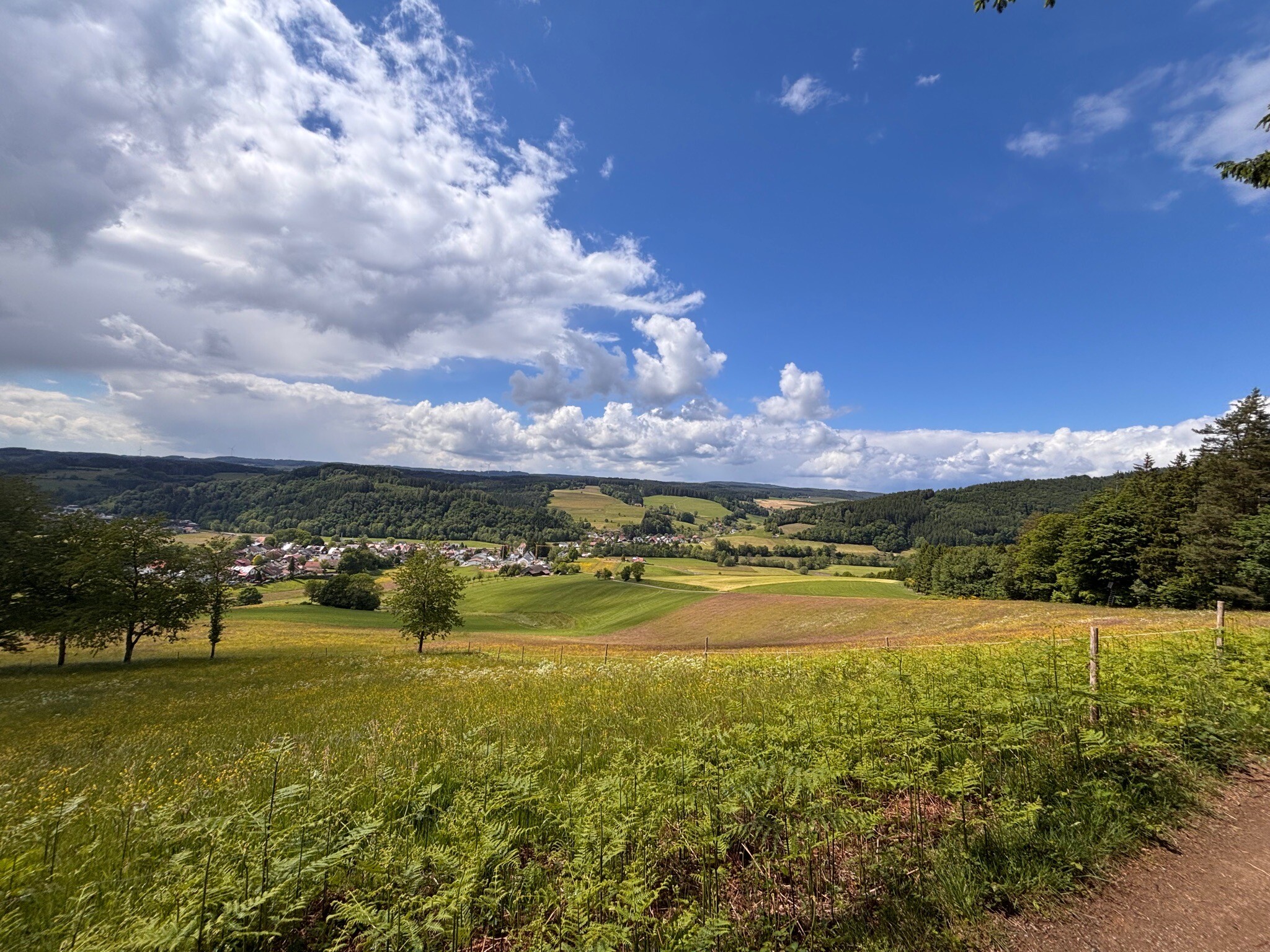 Rundweg Goldener Kopf