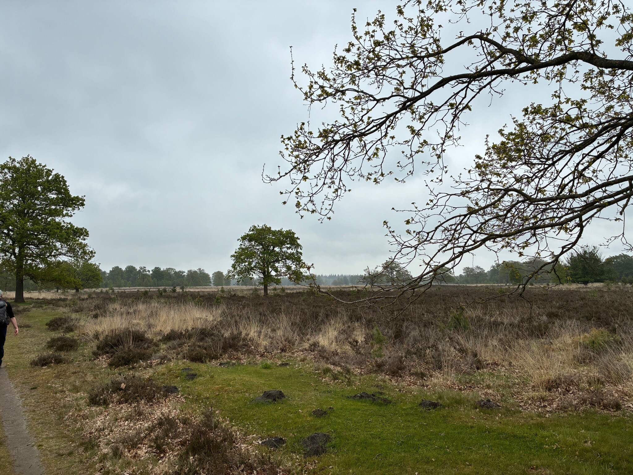 DW4D Dag 4 - 20km - 2026