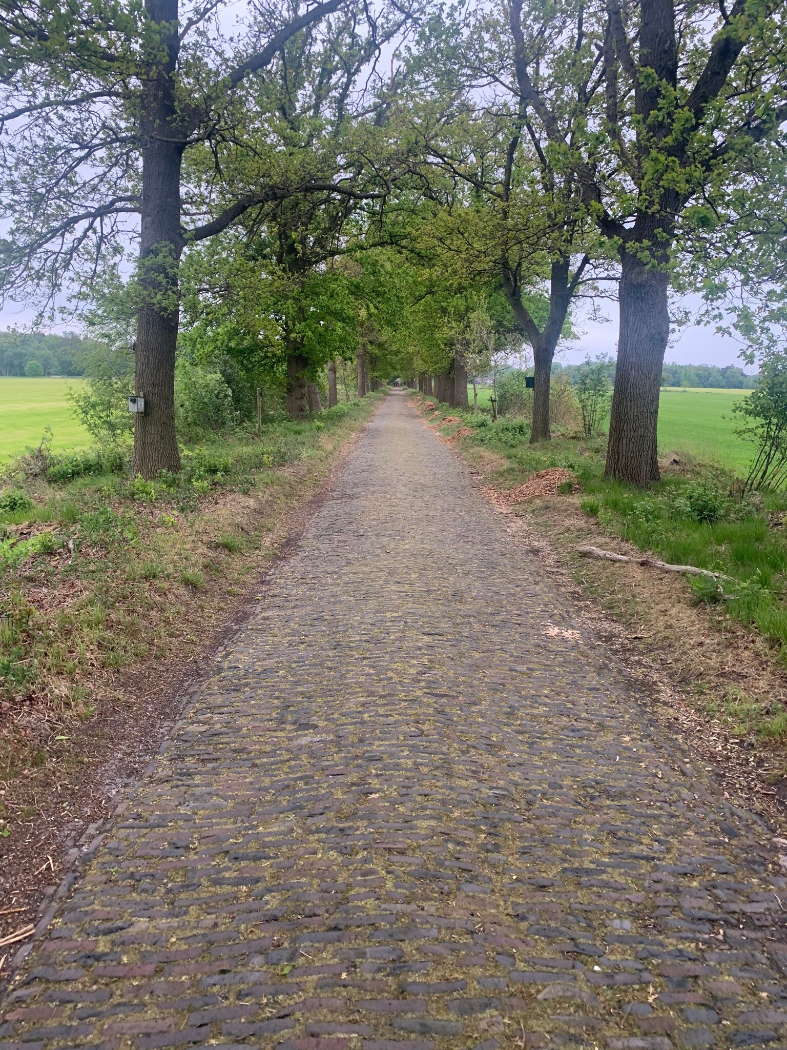 Kunstroute Hein Mader deel 1
