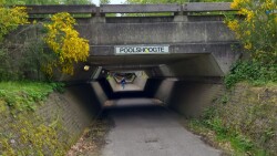 DW4D Dag 4 - 20km - 2026