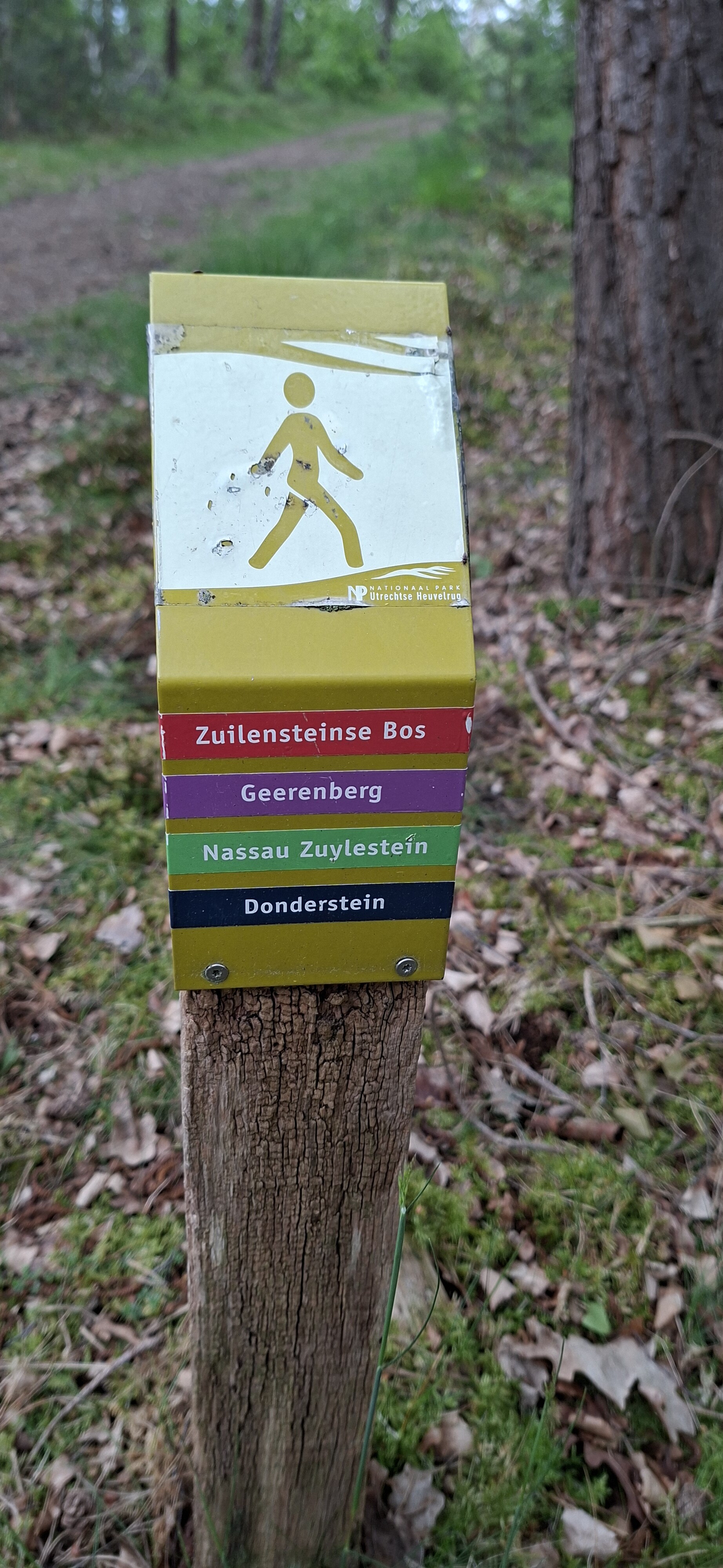 Amerongse berg