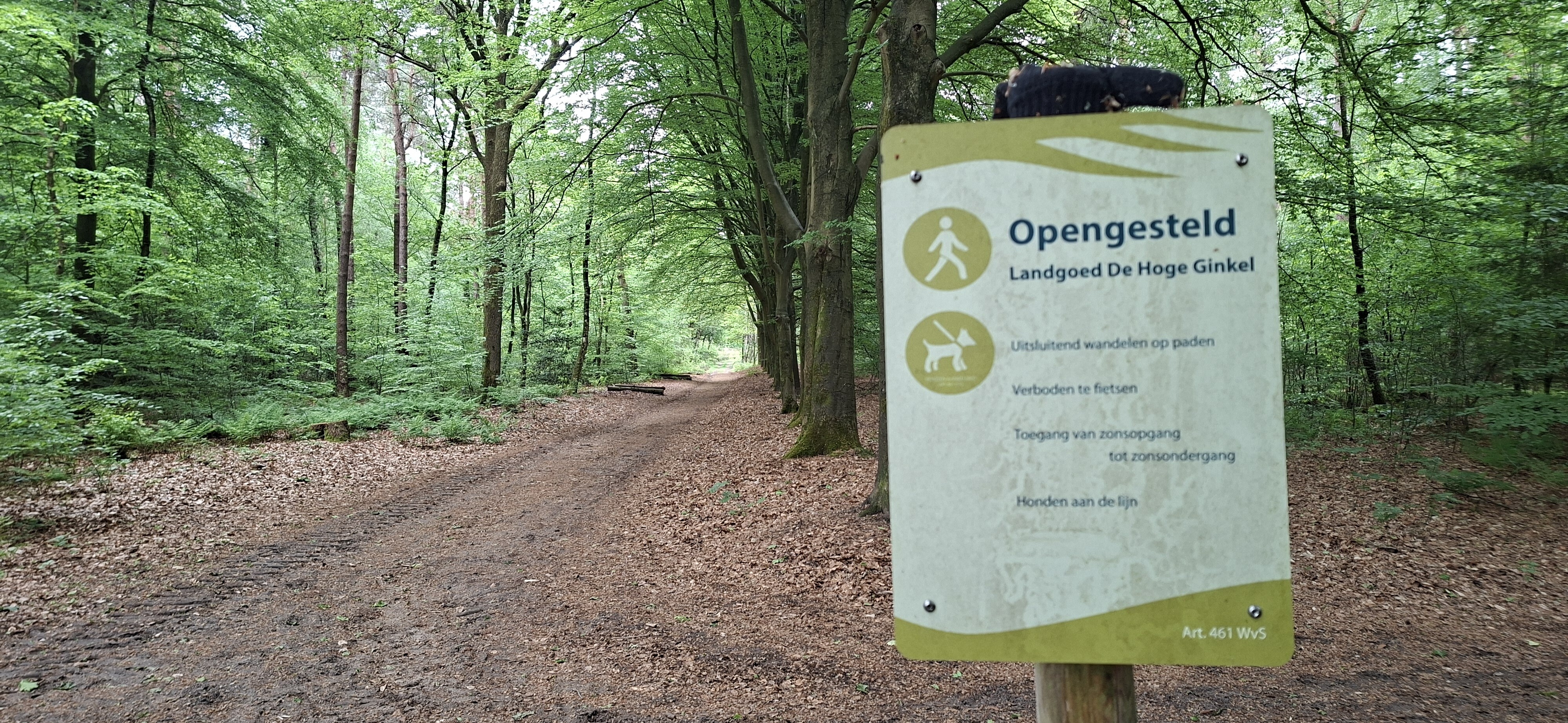 Amerongse berg