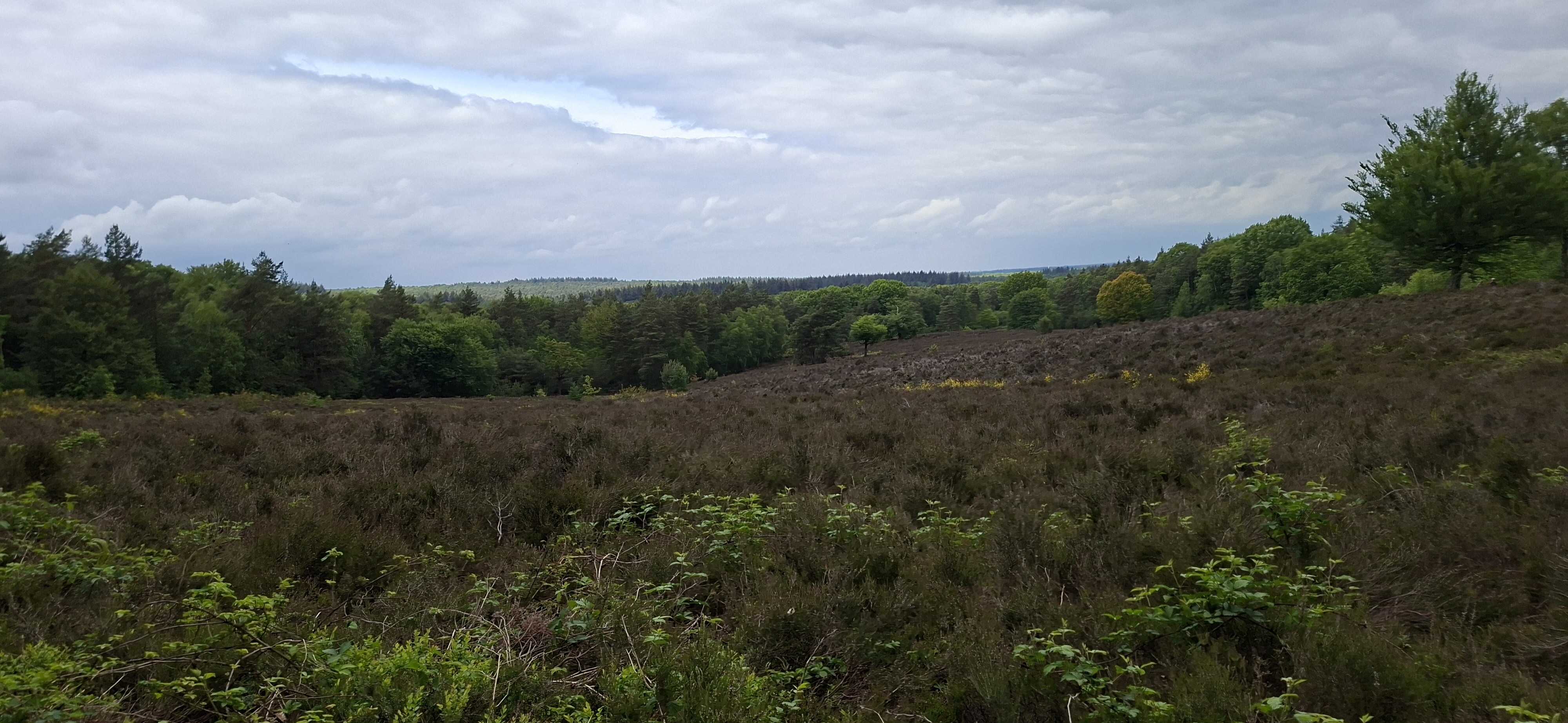 Amerongse berg