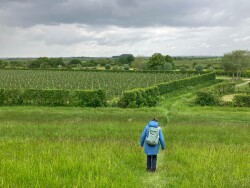 Station Kruiningen-Yerseke - Wemeldinge · Oosterscheldepad etappe 15