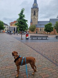 Steengroeve - Winterswijk · Scholtenpad etappe 5