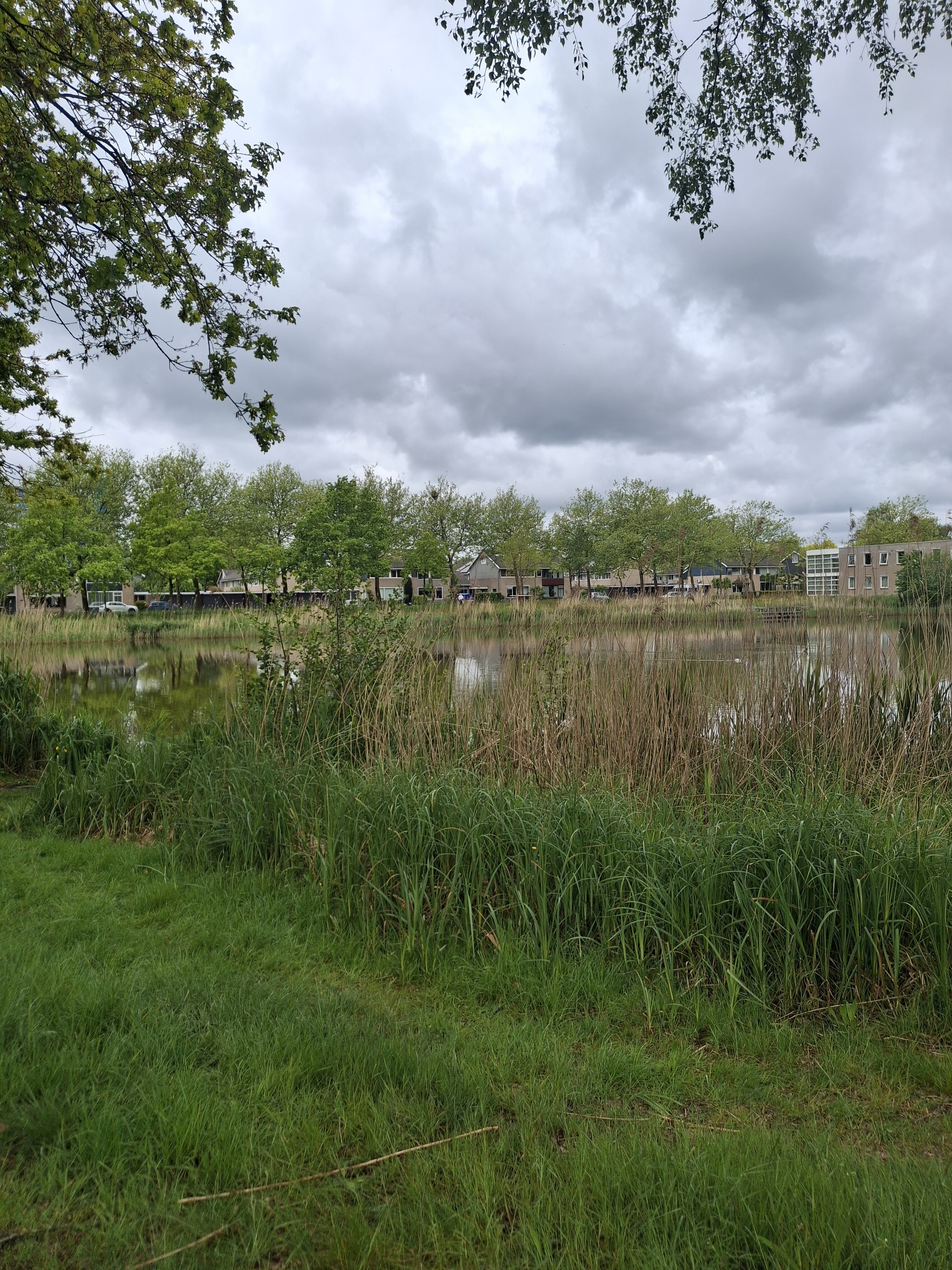 4 mijl van assen, assen-oost, vredeveld