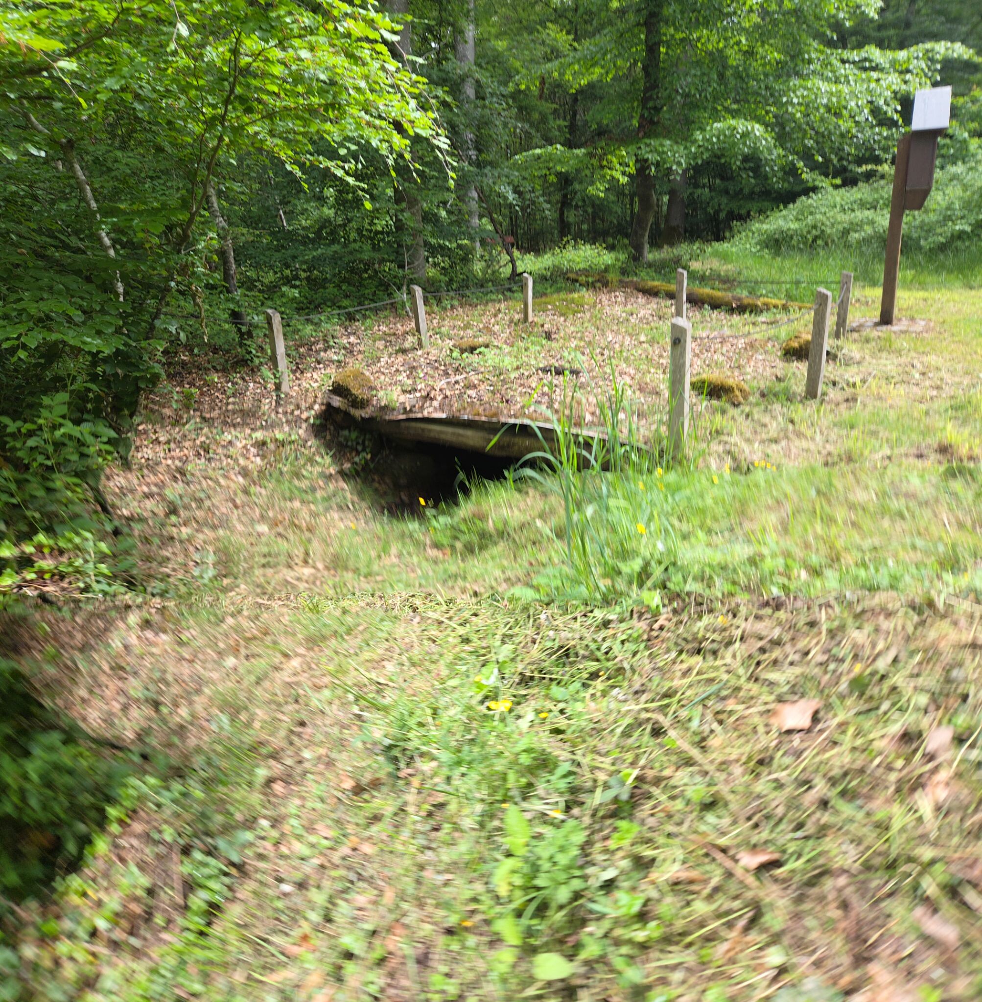 Mullerthal R4