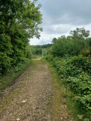 Kattevennen - Pietersheim  · Nationaal park Hoge Kempen etappe 1