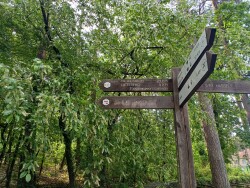 Kattevennen - Pietersheim  · Nationaal park Hoge Kempen etappe 1
