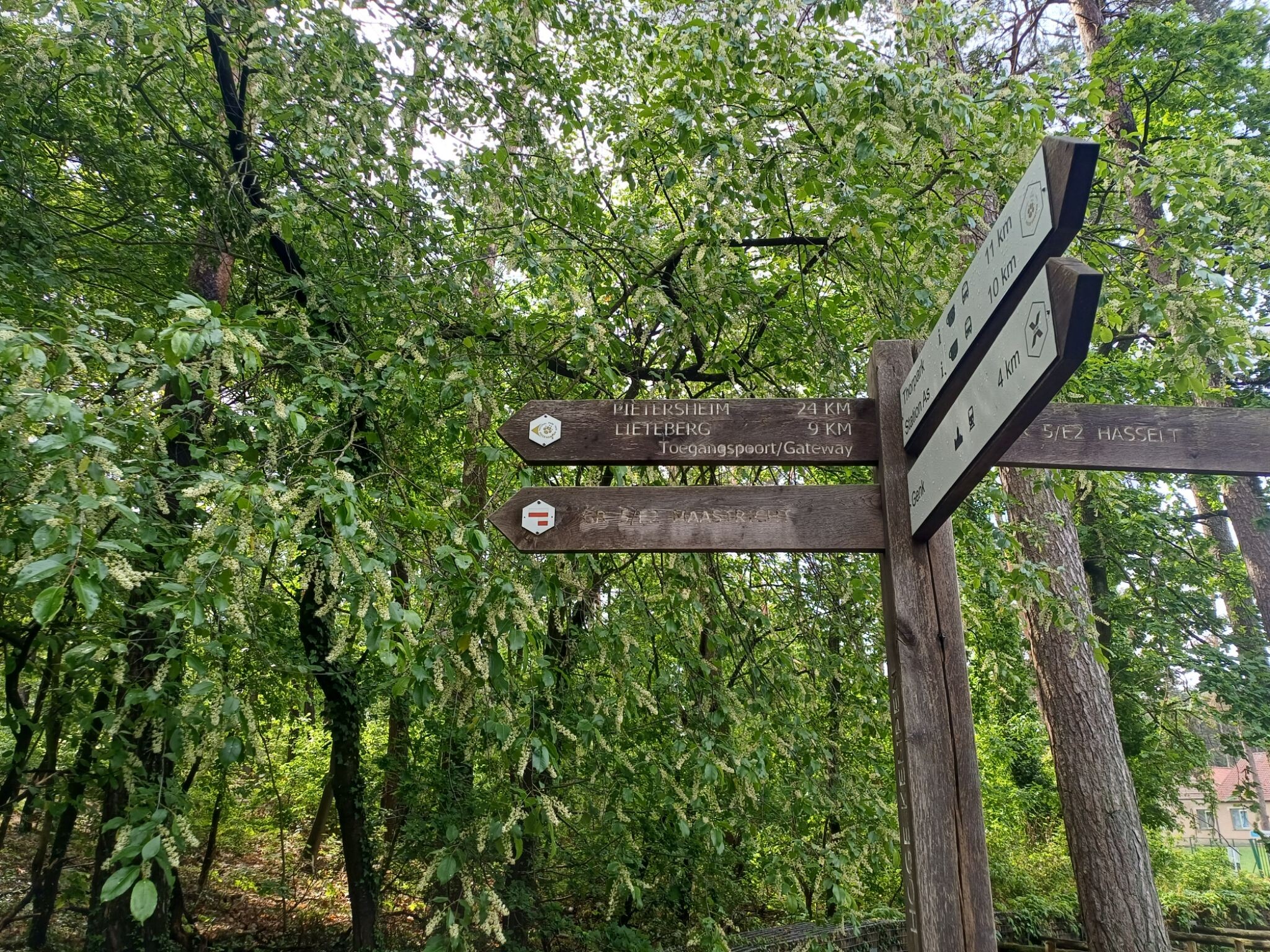 Kattevennen - Pietersheim  · Nationaal park Hoge Kempen etappe 1