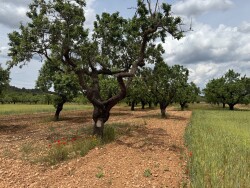 Rondje Toll Blau en Arnes