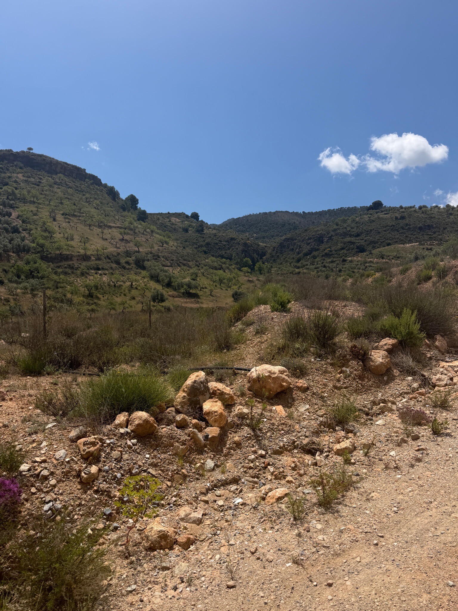 Bovenlangs de kloof in albuenelas