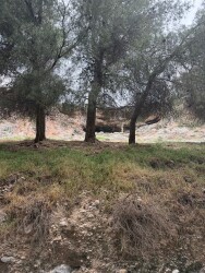 Bovenlangs de kloof in albuenelas