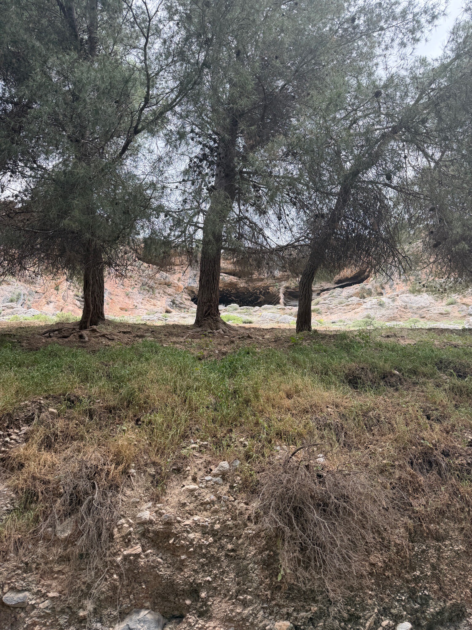 Bovenlangs de kloof in albuenelas