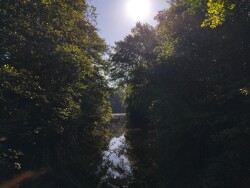 De Toene