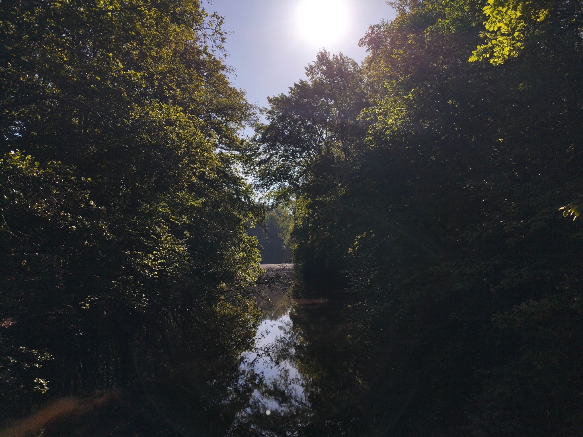De Toene