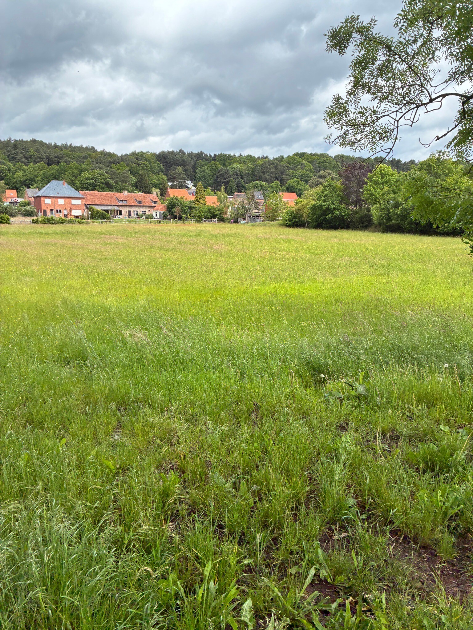 Langdorp