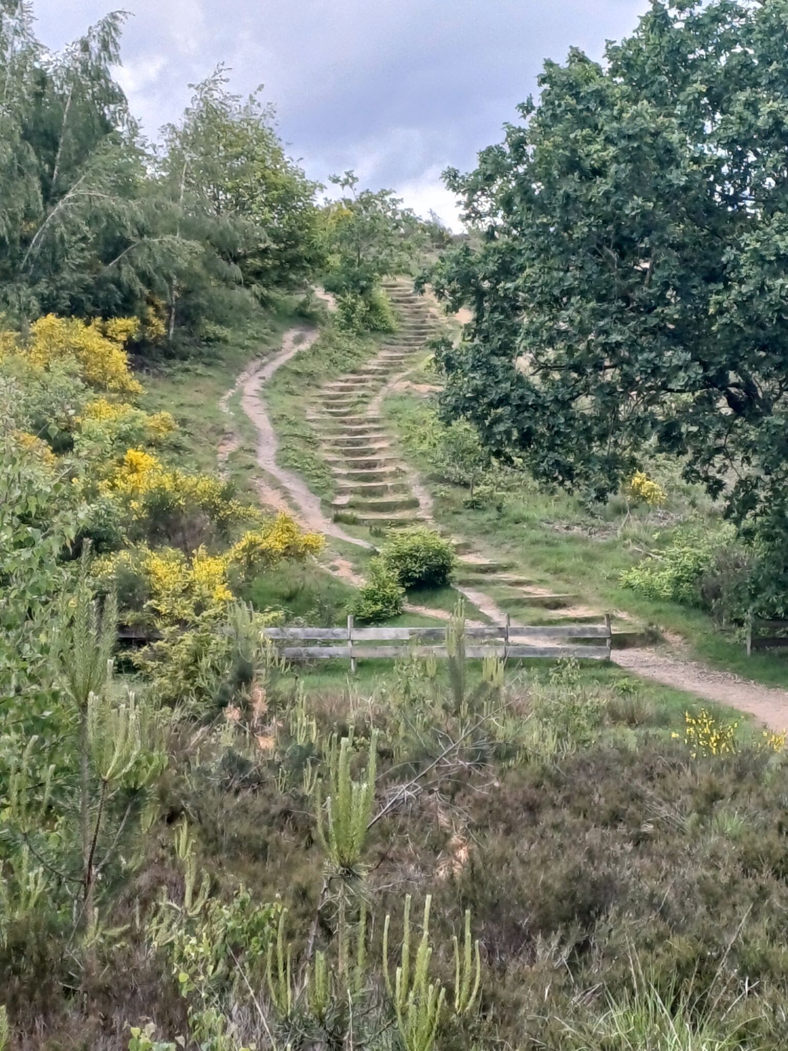 Pietersheim - Terhills · Nationaal park Hoge Kempen etappe 2
