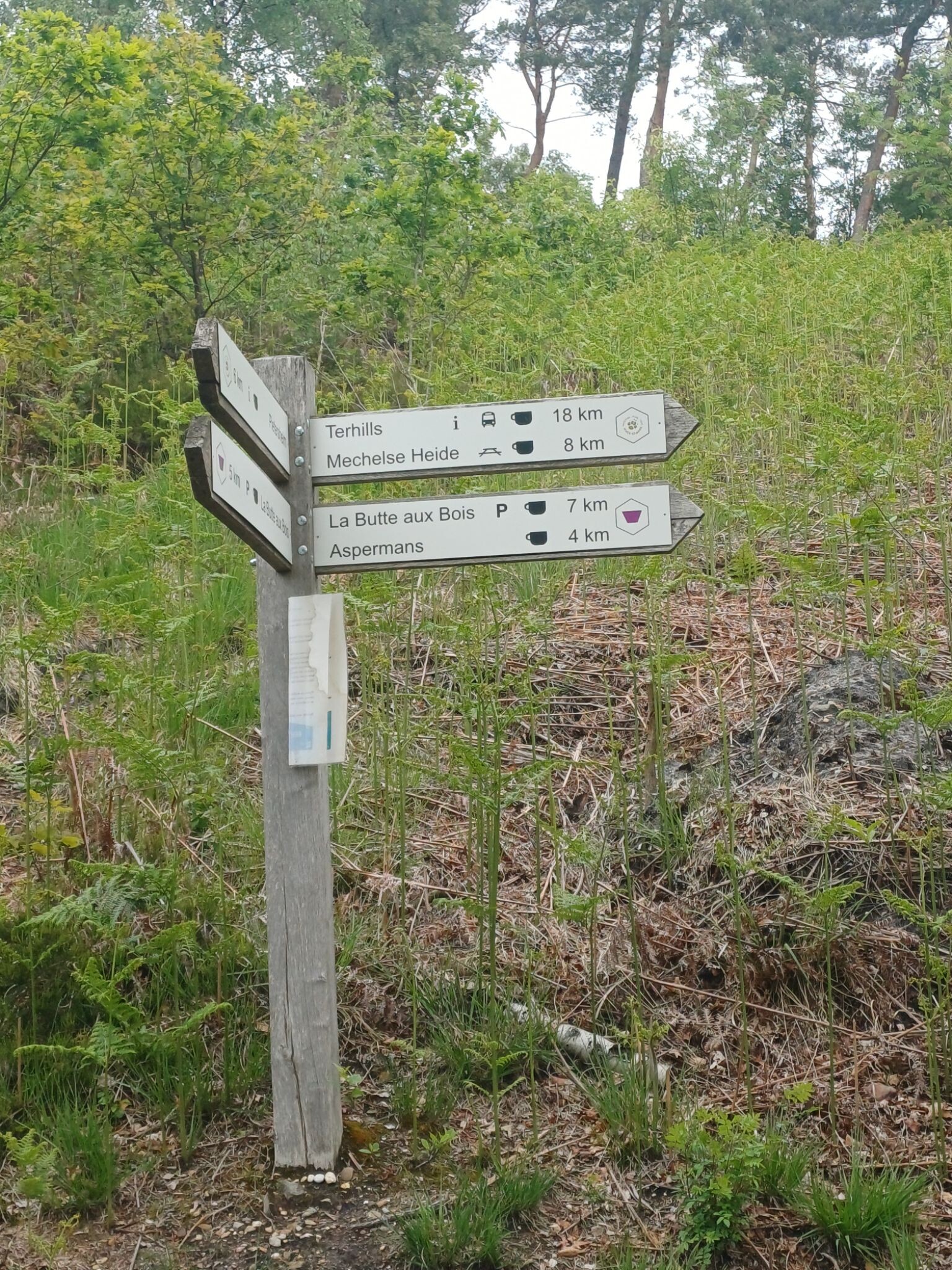 Pietersheim - Terhills · Nationaal park Hoge Kempen etappe 2