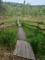 Pietersheim - Terhills · Nationaal park Hoge Kempen etappe 2