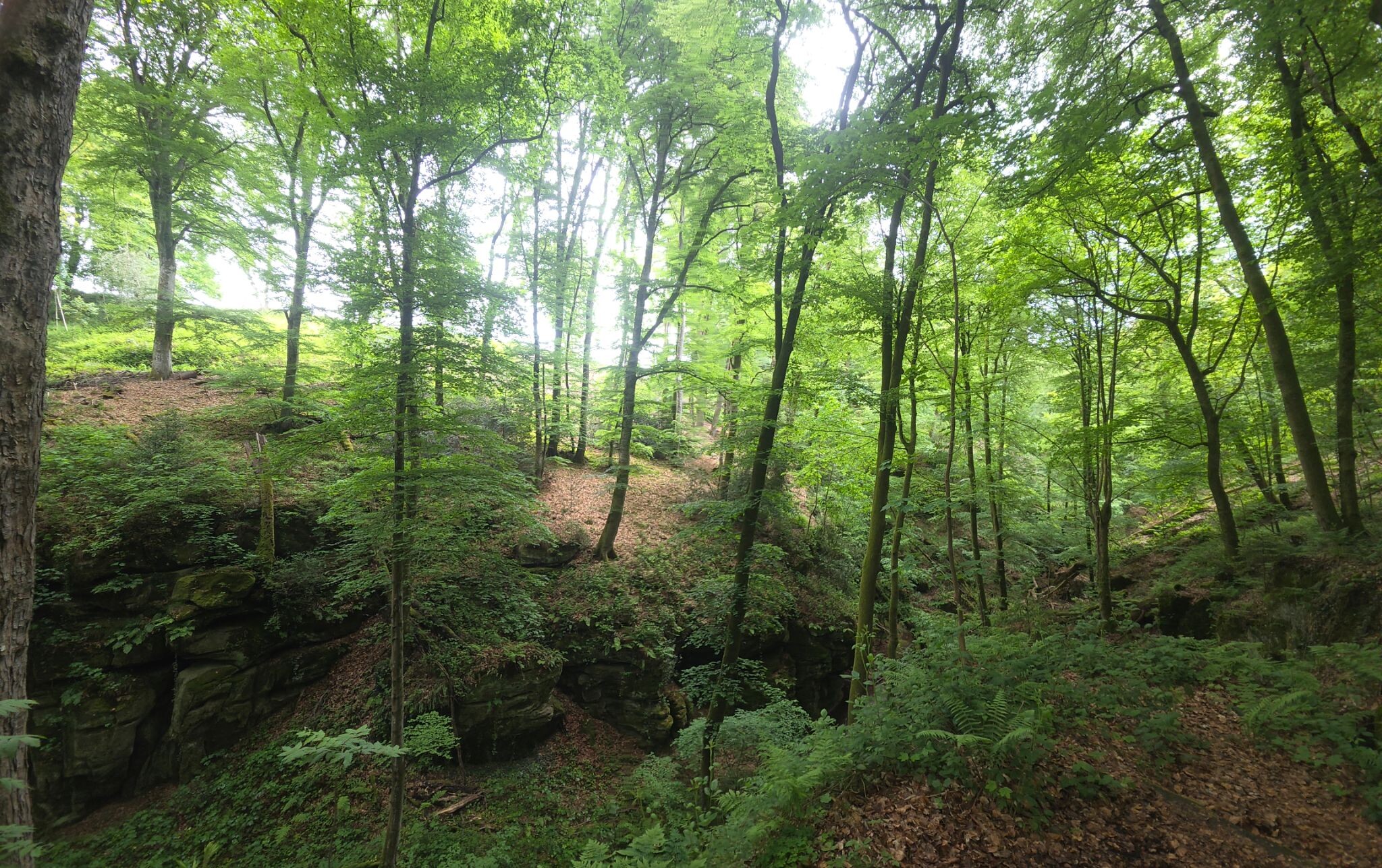 Mullerthal E1