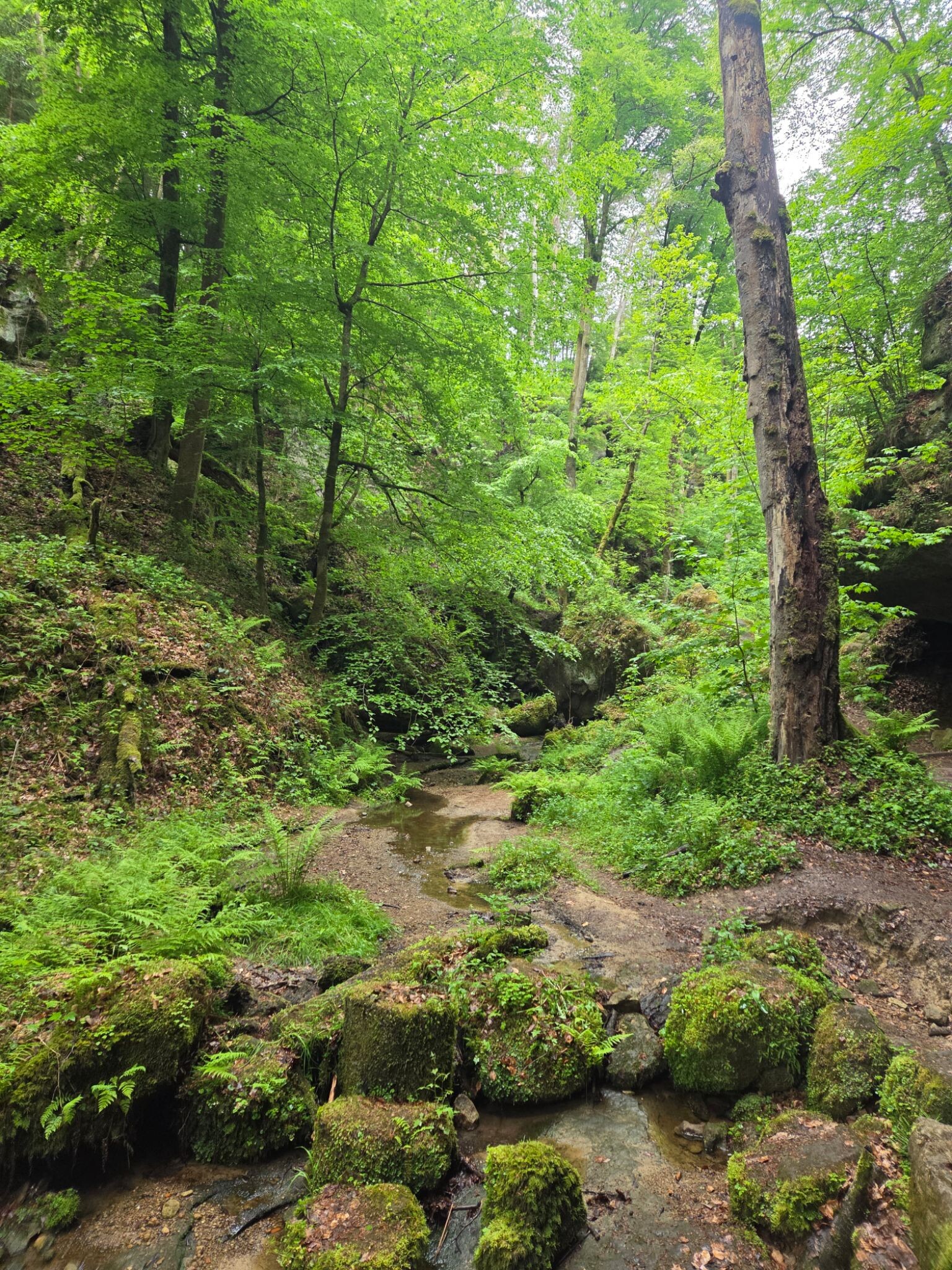 Mullerthal E1