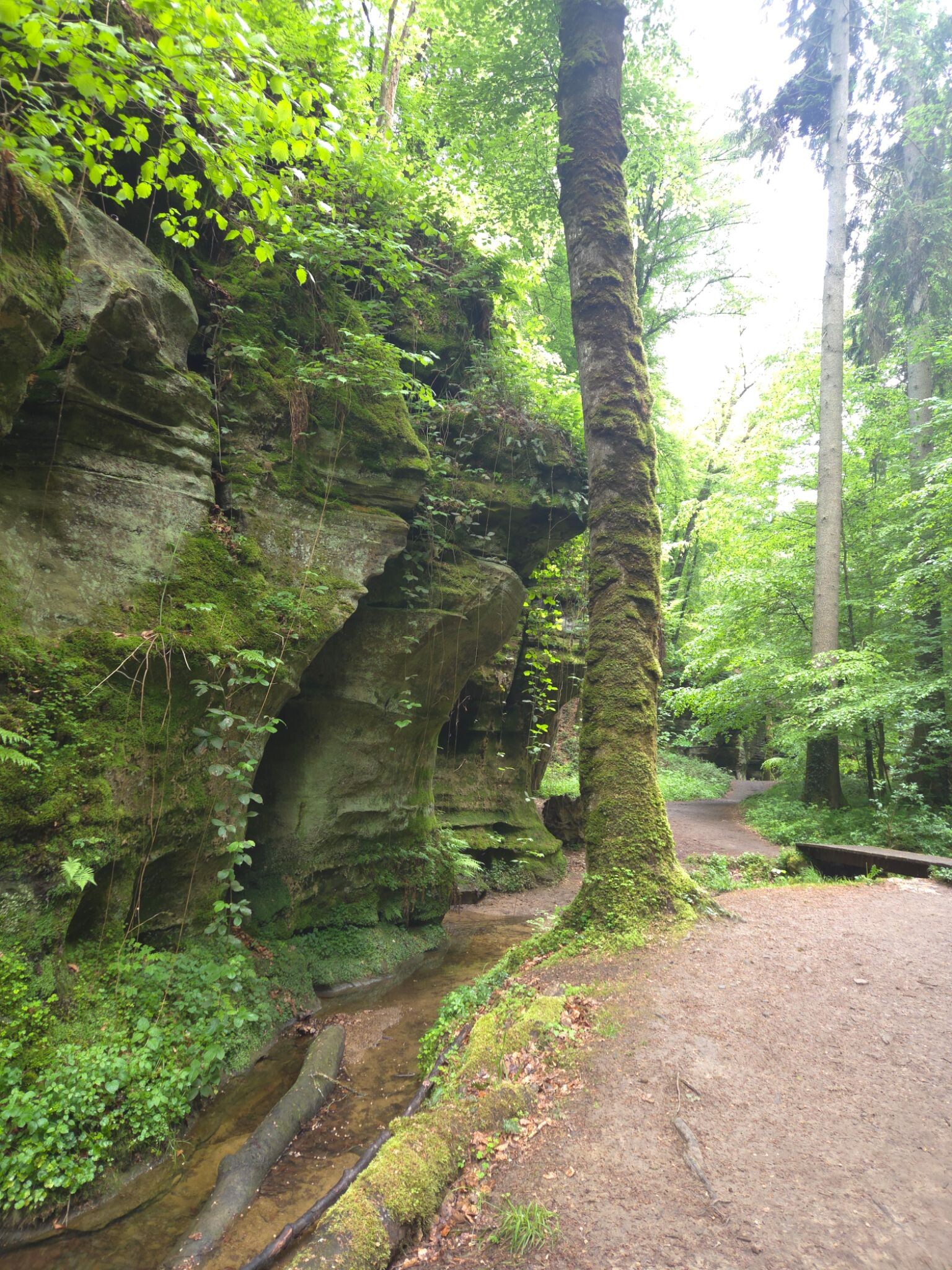 Mullerthal E1