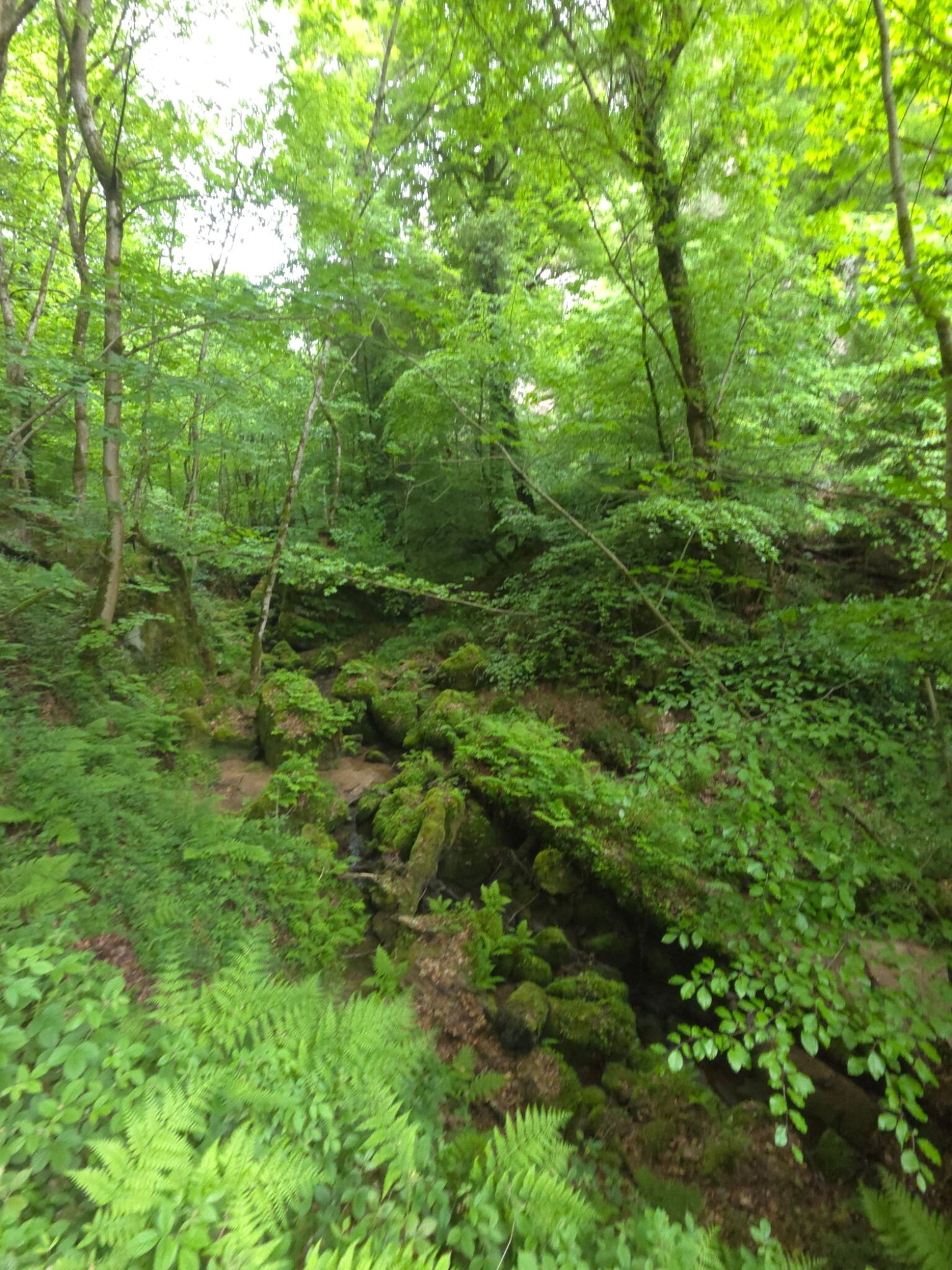 Mullerthal E1