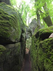 Mullerthal E1