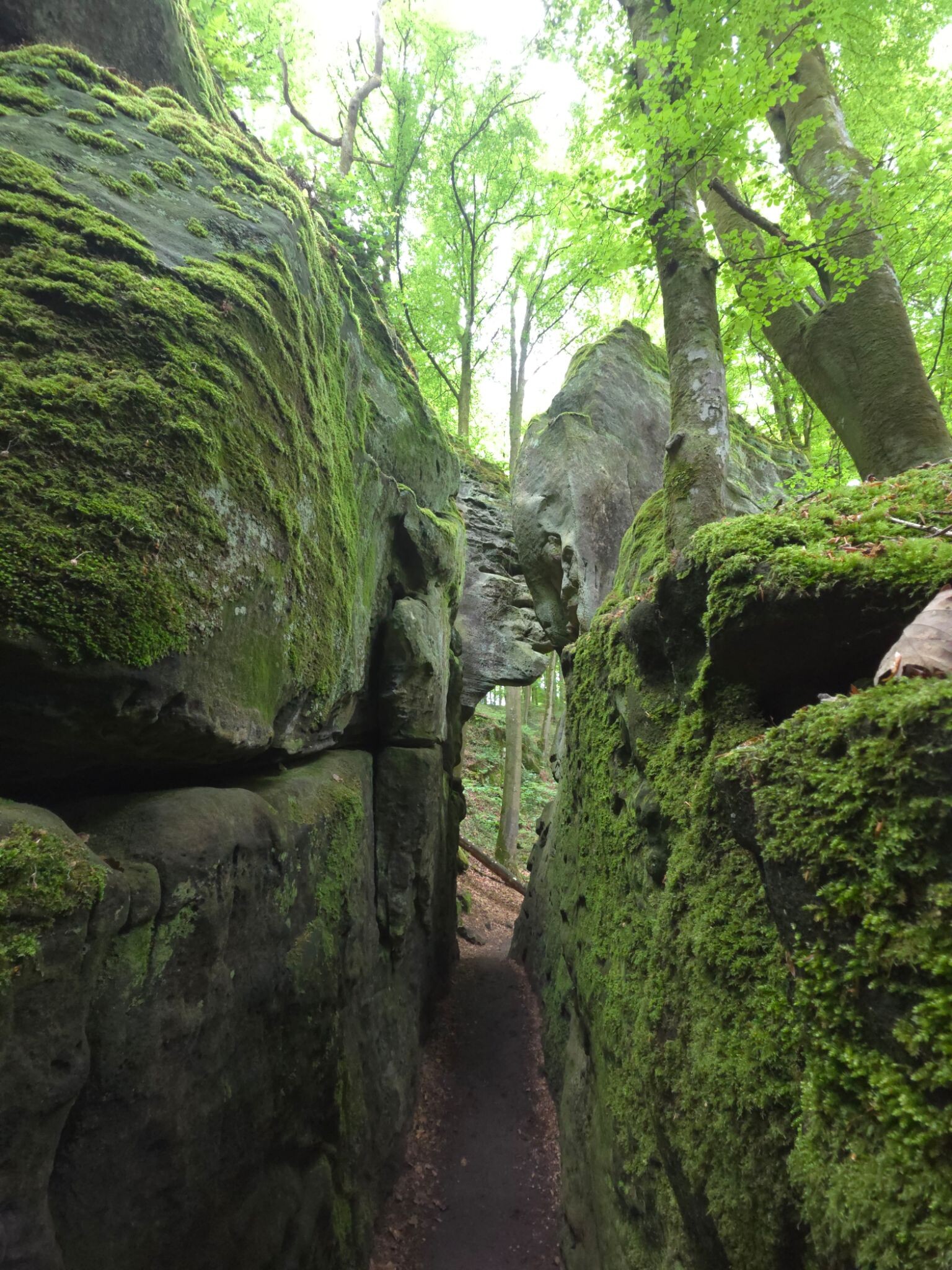 Mullerthal E1