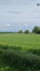 Veengootwandeling