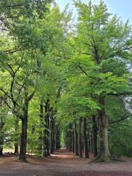 Maarn - Langbroek · Trekvogelpad etappe 12
