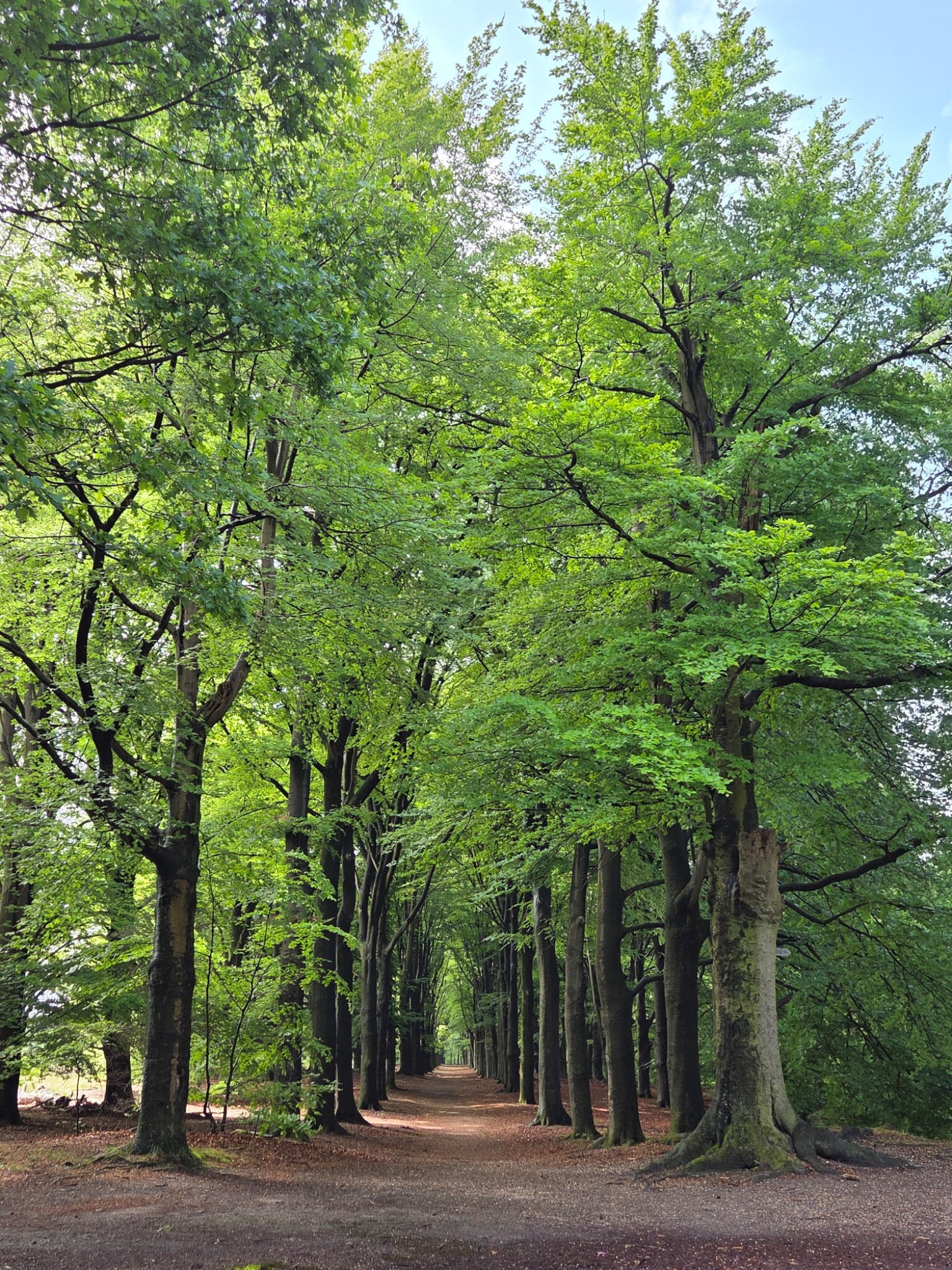 Maarn - Langbroek · Trekvogelpad etappe 12