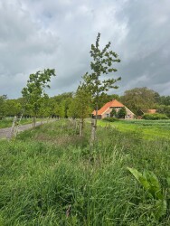 Borne - Delden · Marskramerpad etappe 3