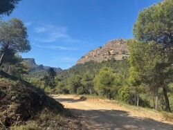 Toll Del Vidre