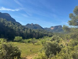 Toll Del Vidre
